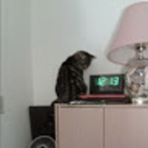 Meet your Posher, Phyllis